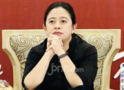 Angka Kematian Meningkat Signifikan, Puan Mengingatkan Pemerintah