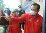 Kapolda Sumbar Buka Lomba Ayam Kukuak Balenggek di Solok