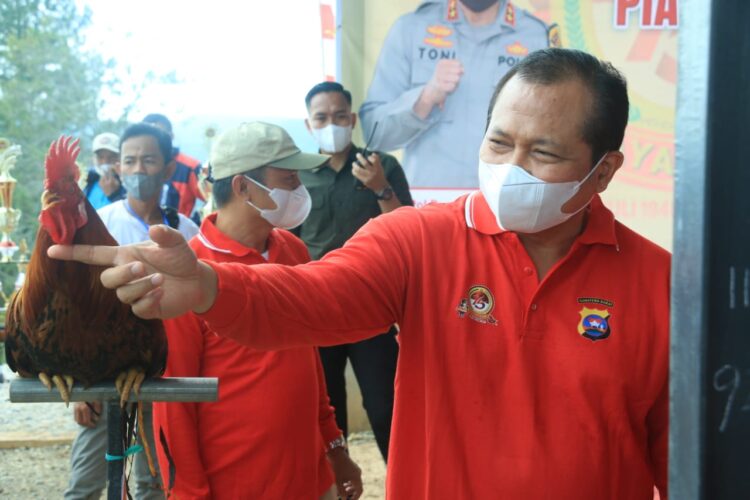 Kapolda Sumbar Cup dalam suasana peringatan Hari Bhayangkara ke 75 tahun 2021, digelar Minggu (4/7) di Jorong Kubang Nan Duo Nagari, Sirukam Kecamatan Payung Sekaki, Kabupaten Solok.