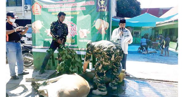 SAPI KURBAN— Ketua PD PPM Sumbar, Wahyu Iramana Putra menyaksikan penyembelihan sapi kurban sebanyak 2 ekor di kantor PPM Sumbar, Jalan Veteran, Kamis (22/7).