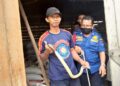 Ular Kobra Berhasil Dievakuasi dari Gudang Kandang Ayam 10 Ular Kobra Berhasil Dievakuasi dari Gudang Kandang Ayam