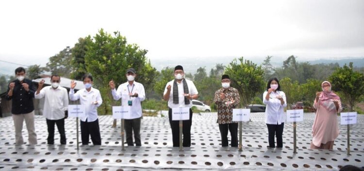 TANAM BAWANG— Wakil Bupati Richi Aprian bersama tamu lainnya menanam bawang bersama.