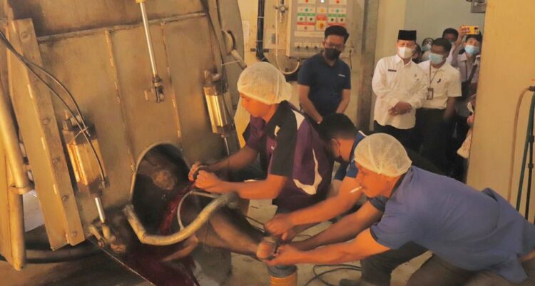 PENYEMBELIHAN DI RPH— Wawako Erwin Yunaz menyaksikan penyembelihan sapi kurban di RPH Payakumbuh.