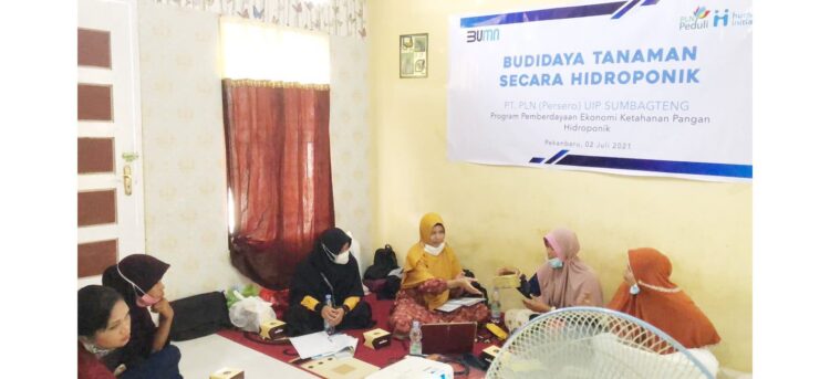 PT PLN (Persero) UIP Sumbagteng bersamaTim Human Initiative Riau adakan pelatihan pertama kepada Kelompok WanitaTani Perumahan Griya Sakinah Sejahtera untuk Program Hidroponik.