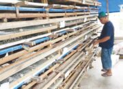 Bertahan dan Bangkit di Tengah Pandemi Covid-19, UMKM Rumah Dagang, Padang Besi Sukses Budidayakan Puyuh Petelur