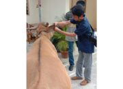 Pandemi tak Pengaruhi Niat Berkurban di Sawah­lunto