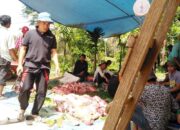 2021, Jumlah Kurban Jamaah Meningkat di Kota Sawahlunto