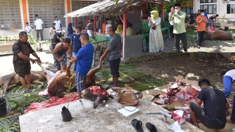 Idul Adha, Wako Pariaman Ajak Warga Lebih Empati kepada Sesama 1 TINJAU PENYEMBELIHAN— Wako Pariaman Genius Umar saat melakukan peninjauan penyembelihan hewan kurban kemairn.