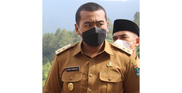 Wakil Gubernur Audy Joinaldy.