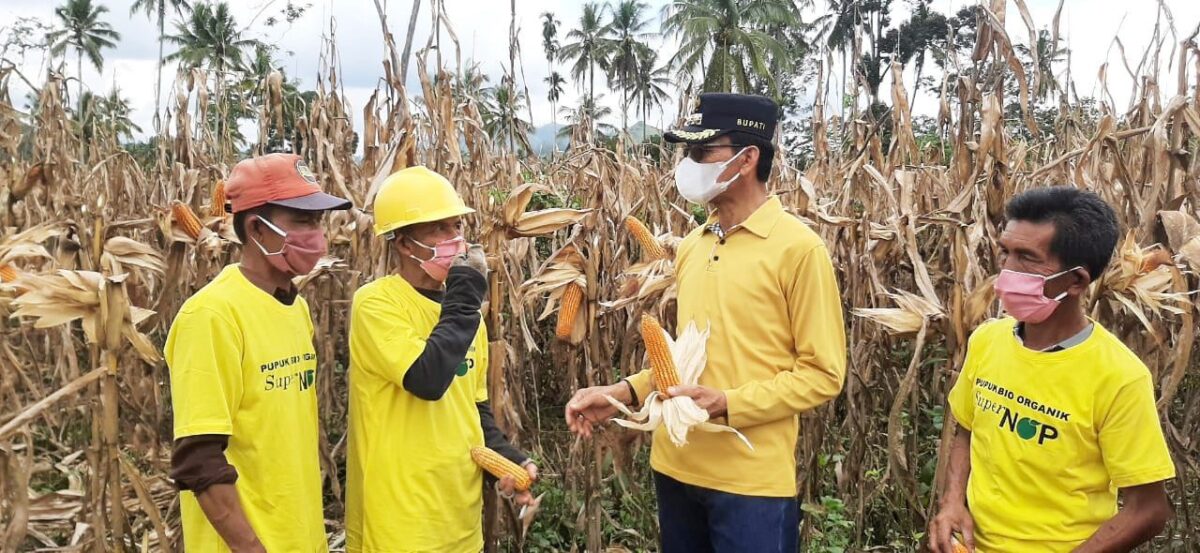 Jangan Sampai Petani Menerima Pupuk dan Bibit Tidak Berkualitas