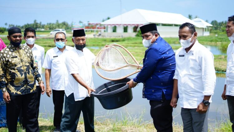 17 Pokdakan Terima Bantuan Sarana Budidaya Ikan Air Tawar di Nagari Pungguang Kasiak, Kecamatan Lubuk Alung 1 Bupati Padangpariaman Suhatri Bur, kemarin, melakukan pelepasan bibit ikan pada kelompok pembudidaya ikan kelok indah dalam acara penyerahan bantuan sarana budidaya ikan air tawar untuk meningkatkan perekonomian dan ketahanan pangan dimasa pandemi Covid-19 di Nagari Pungguang Kasiak, Kecamatan Lubuk Alung.