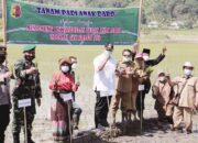 Sertifikat IG dari Kemenkumham Modal Peningkatan Kuantitas dan Kualitas, Pemko So­lok  Wujudkan Koto Solok jadi Lumbung Beras di Sumbar