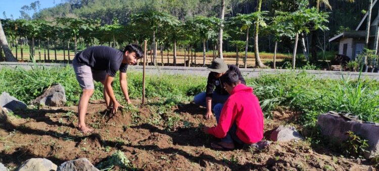 PEMBERSIHAN OBJEK WISATA— Pemuda penggiat wisata Kapalo Banda, Taram, terus melahirkan inovasi seperti spot baru dan goro membersihkan objek wisata selama pandemi Covid-19.