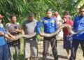 Ular Piton Sepanjang 3,5 Meter Dievakuasi Damkar Kota Payakumbuh dari Pemukiman 10 Ular Piton Sepanjang 3,5 Meter Dievakuasi Damkar Kota Payakumbuh dari Pemukiman