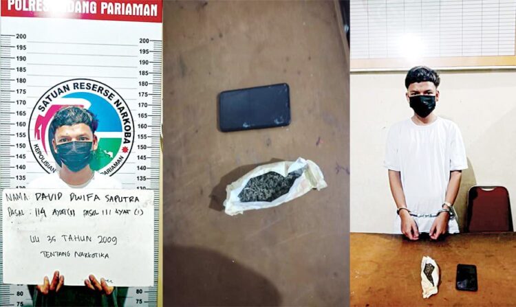 PENGEDAR GANJA— Pelaku D bersama barang bukti ganja diamankan di Mapolres Padangpariaman.