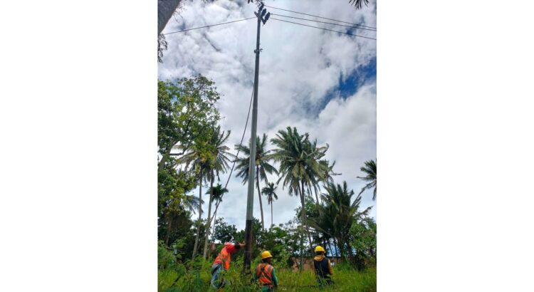 PERBAIKAN--Petugas LN sedang melakukan perbaikan gangguan listrik akibat cuaca buruk.