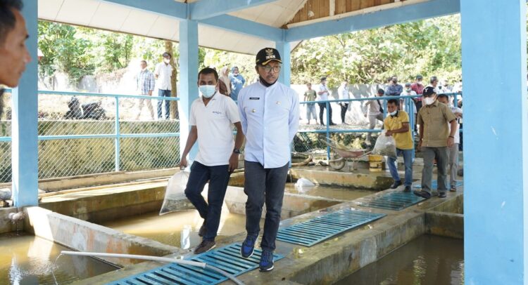 Bupati Solok Selatan Khairunas saat mengunjungi BBI Bariang, Sabtu (11/9/2021).