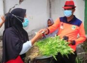 Lahan Pertanian Menjanjikan untuk Peningkatkan Ekonomi, Komitmen dalam Memanfaatkan Lahan di Kota Pariaman