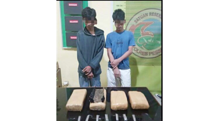 SELUNDUPKAN GANJA— AZ (17) dan MR (17) ditangkap Tim Sapu Jagat Satresnarkoba Polres Pessel saat menyelundupkan satu tas berisi ganja.