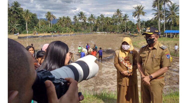 Dibuka Wakil Wali Kota Erwin Yunaz, Pacu Jawi Batali Sikek hanya Ada di Payakumbuh 1 WAWANCARA— Wawako Payakumbuh, Erwin Yunaz didampingi Kepala Dinas Pariwisata Desmon Corina, saat diwawancarai wartawan, saat kegiatan Pacu Jawi Batali Sikek.
