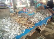 Gelombang Laut Tinggi, Harga Ikan Kering Melambung di Pasar Tiku