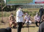 Budidayakan Varietas Anak Daro Paten Bareh Solok