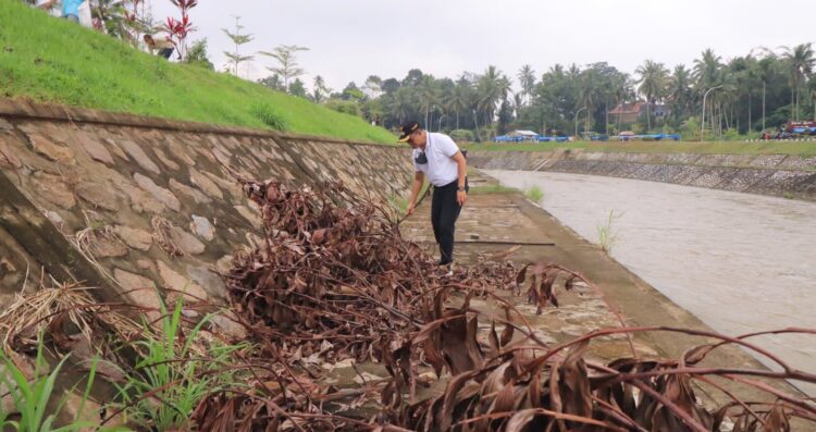 PUNGUT SAMPAH—Wawako Paykumbuh Erwin Yunaz saat memungut sampah di sepanjang sungai Batang Agam.