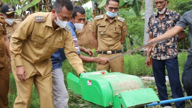 SERAHKAN—Wali Kota Pariaman H Genius Umar serahkan bantuan alat pertanian.