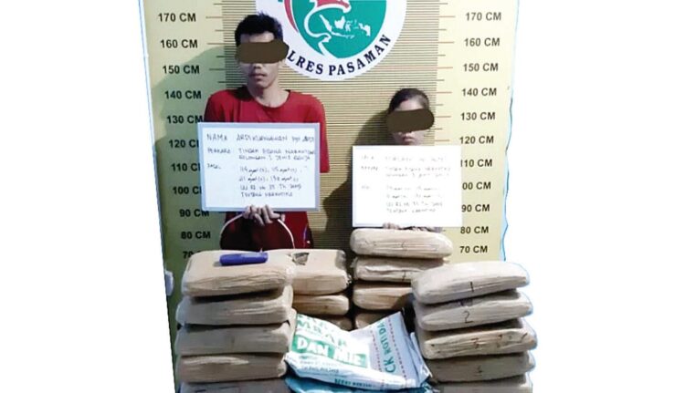 SELUNDUPKAN GANJA- Sepasang kekasih ditangkap jajaran Satresnarkoba Polres Pasaman karena kedapatan membawa 2 karung ganja dari Sumut.