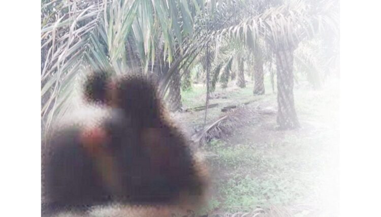 Oknum Wali Nagari di Kecamatan Air Pura, Kabupaten Pesisir Selatan, Selingkuh dengan Istri Tetangga, Terciduk Berduaan di Kebun Malam Hari, Suami Bakal Lapor Polisi 1 ilustrasi.