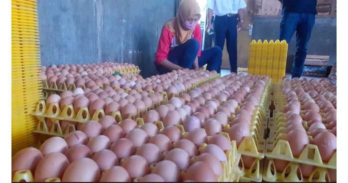 Harga Telur Ayam Jeblok, Mendag Berjanji Serap Telur Peternak 1 Ilustrasi penjual telur.