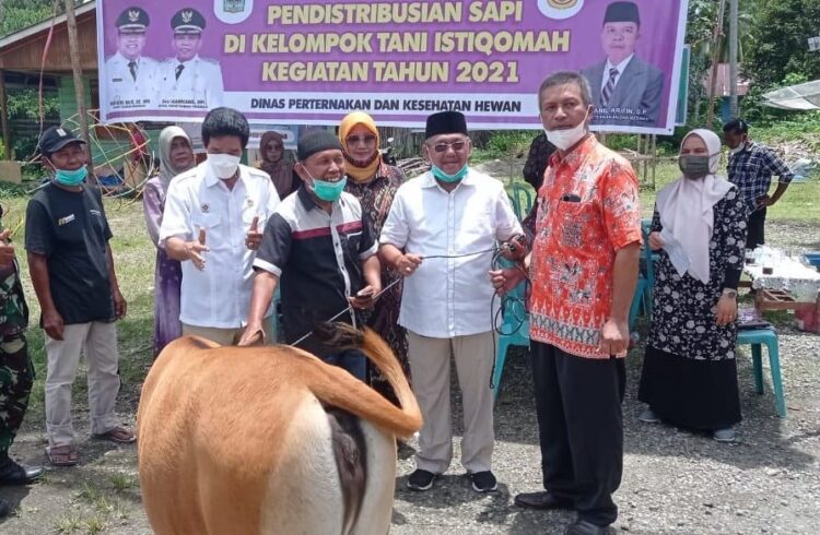 Ketua DPC Partai Gerindra Padangpariaman Happy Neldy mendampingi Anggota DPRD Padangpariaman  Mulyadi SH bantuan 13 ekor sapi untuk Kelompok Tani Istiqomah,  Padang Bintungan, Nan Sabaris, Padangpariaman, Jumat (8/10).