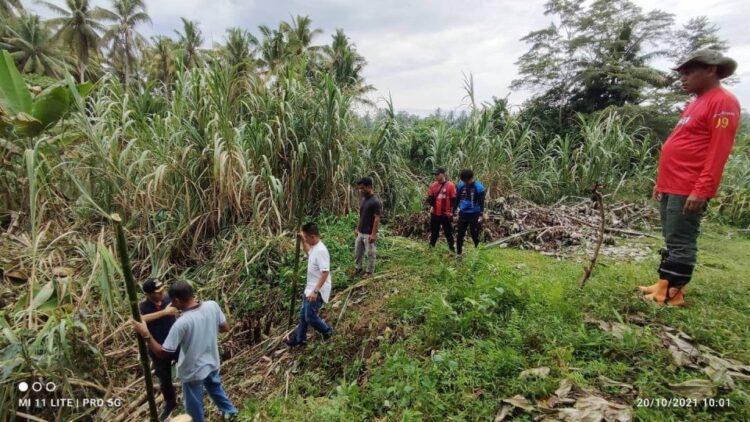 Wali Kota Pariaman H Genius Umar menyatakan untuk melancarkan akses lalu lintas masyarakat dan mengembangkan program wisata water front city di Kota Pariaman.