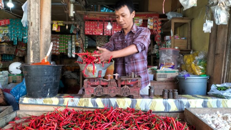 TIMBANGAN—Karyawan Eni yang sedang menimbang cabai di pasar tradisional di Kota Pariaman, Selasa (26/10).