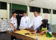 PT CNM Jalin Kerja Sama dengan BUMN PT Pertani, Kembangkan Varietas Bibit Jagung Unggul di Kota Solok
