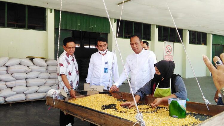 KUNJUNGI PABRIK JAGUNG— Dirut PT Pertani Maryono melakukan kunjungan ke pabrik jagung PT CNM.