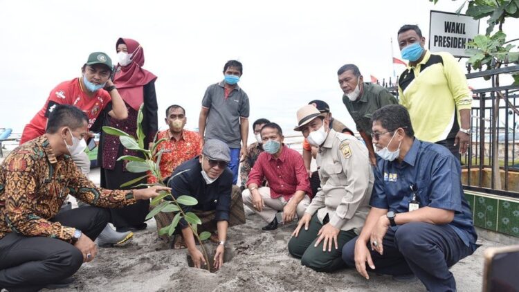 TANAM—Putra Wakil Presiden RI, Gus Syauqi saat tanam pohon di kawasan Pantai Ma’ruf Amin, Desa Taluak, Kecamatan Pariaman Selatan, Kota Pariaman.