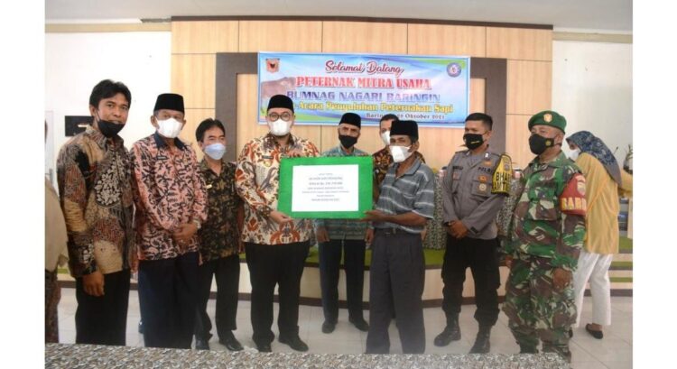 Richi: Pengembangan Sapi Pedaging Potensial di Tanah Datar 1 SERAHKAN—Wabup Richi serahkan sapi secara simbolis.