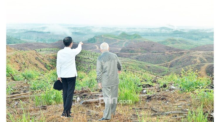 TINJAU—Presiden Jokowi bersama Gubernur Kaltim Isran Noor saat meninjau lokasi untuk Ibu Kota Negara di Kecamatan Sepaku PPU, Kaltim, pekan lalu.