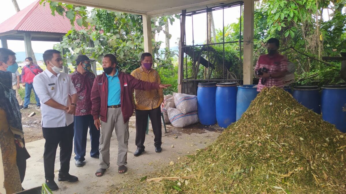 prospek pengembangan peternakan