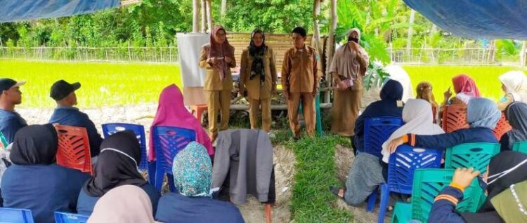PELATIHAN—Sedikitnya 20 petani sekaligus anggota Keltan dari Desa Salak dilatih untuk meningkatkan hasil pertanian cabai.