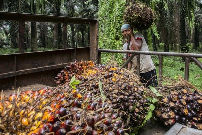 BUAH KELAPA SAWIT-Pekerja menyusun tandan buah segar (TBS) kelapa sawit  di kawasan Candali Bogor, Jawa Barat. Cangkang sawit yang sebelumnya sebagai limbah, kini diolah dan bisa diekspor ke Jepang sehingga bisa memberikan nilai tambah bagi pea i sawit.