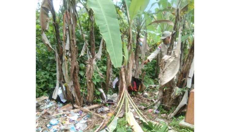 GANJA DITEMUKAN— Lokasi ditemukannya puluhan paket ganja yang tak bertuan.