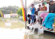 Bupati Agam Launching Baganang, 40 Ribu Bibit Ikan Rayo Dilepas