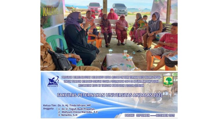 Mengenal Pakan Dalam Perkembangan Usaha Peternakan Sapi Pesisir 1 Foto untuk Opini Dosen Faterna Unand