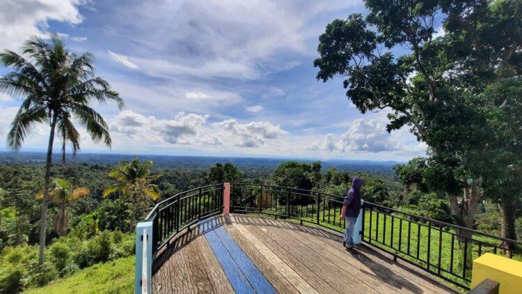 BUTUH—Bukik Bulek, Korong Kampuang Padang, Nagari III Koto Aua, butuh sentuhan.