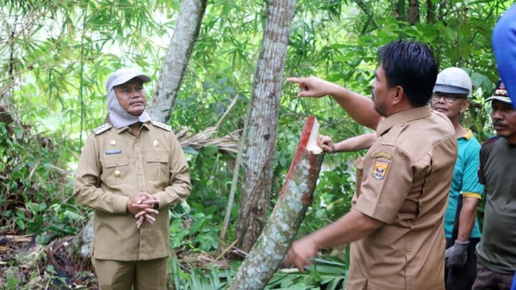 Pemko Pariaman Kebut Pengerjaan Jalan Lingkar Selatan 1 JALAN LINGKAR— Wali Kota Pariaman H Genius Umar langsung memantau pembuatan jalan lingkar selatan di sepanjang Bantaran Sungai Batang Mangoe atau Mangor.