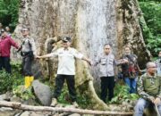 Pohon Berdiameter 4, 6 Meter Koto Malintang, Bisa Dijadikan Objek Wisata Alam
