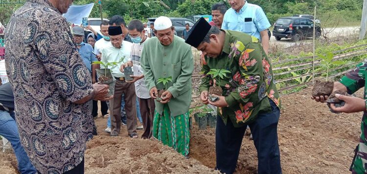 Bupati Padangpariaman Suhatri Bur, kemarin, motivasi dan pimpin kegiatan penanaman tanaman porang bersama Ril Porang di Korong Pasa Dama, Kenagarian Paritmalintang, Kecamatan Enam Lingkung, Kabupaten Padangpariaman.