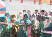 Benahi Kesehatan, TP-PKK Kabupaten Solok Luncurkan Pos Gizi